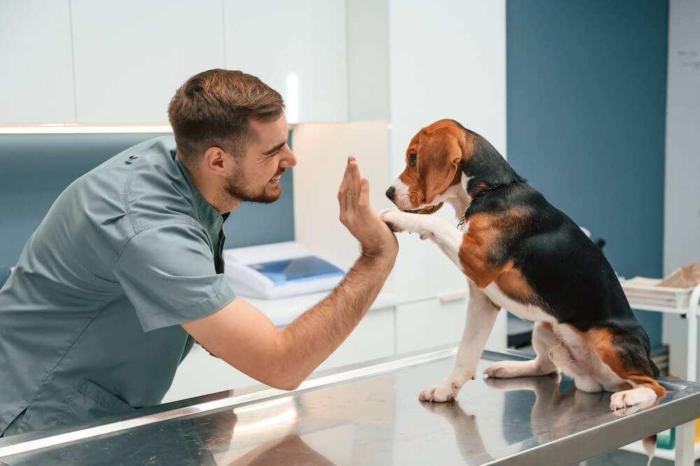 A Better Experience For You & Your Pet
