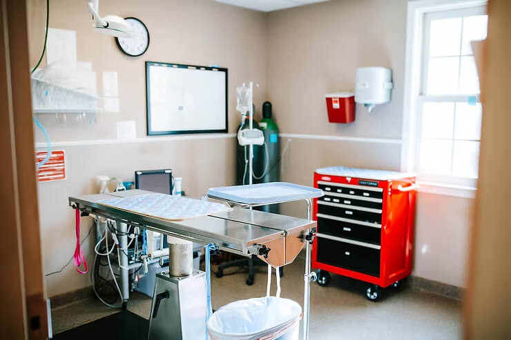 Understanding Emergency and Urgent Care for Pets at Oasis Animal Hospital