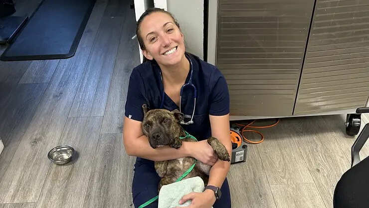 3 Greenville Pets That Beat The Odds