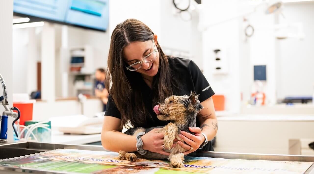 veterinary clinic in greenville sc
