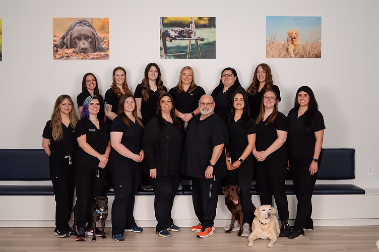 Oasis AH 2025 Team