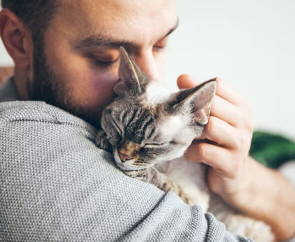 family vet