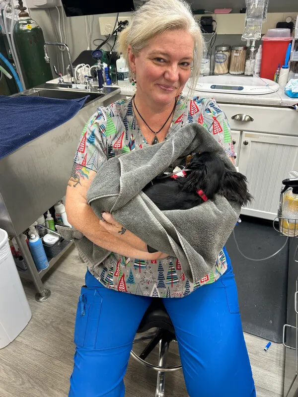 pet loss in Greenville SC