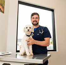 wellness visits