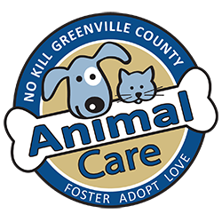 animal care